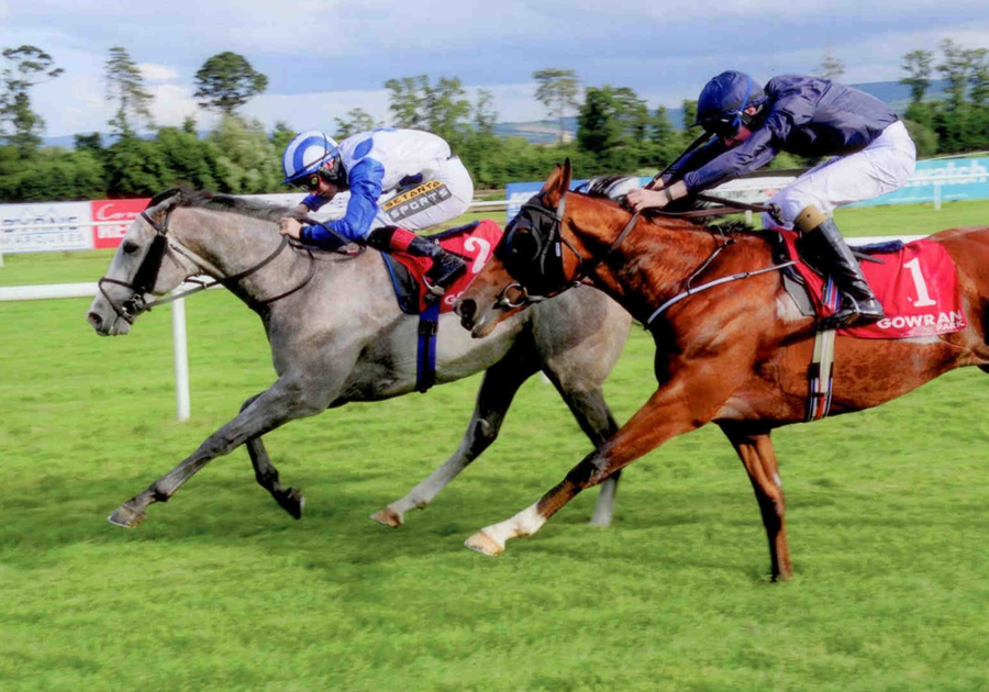 The Ice Meister Gowran Park August 14th 2014
